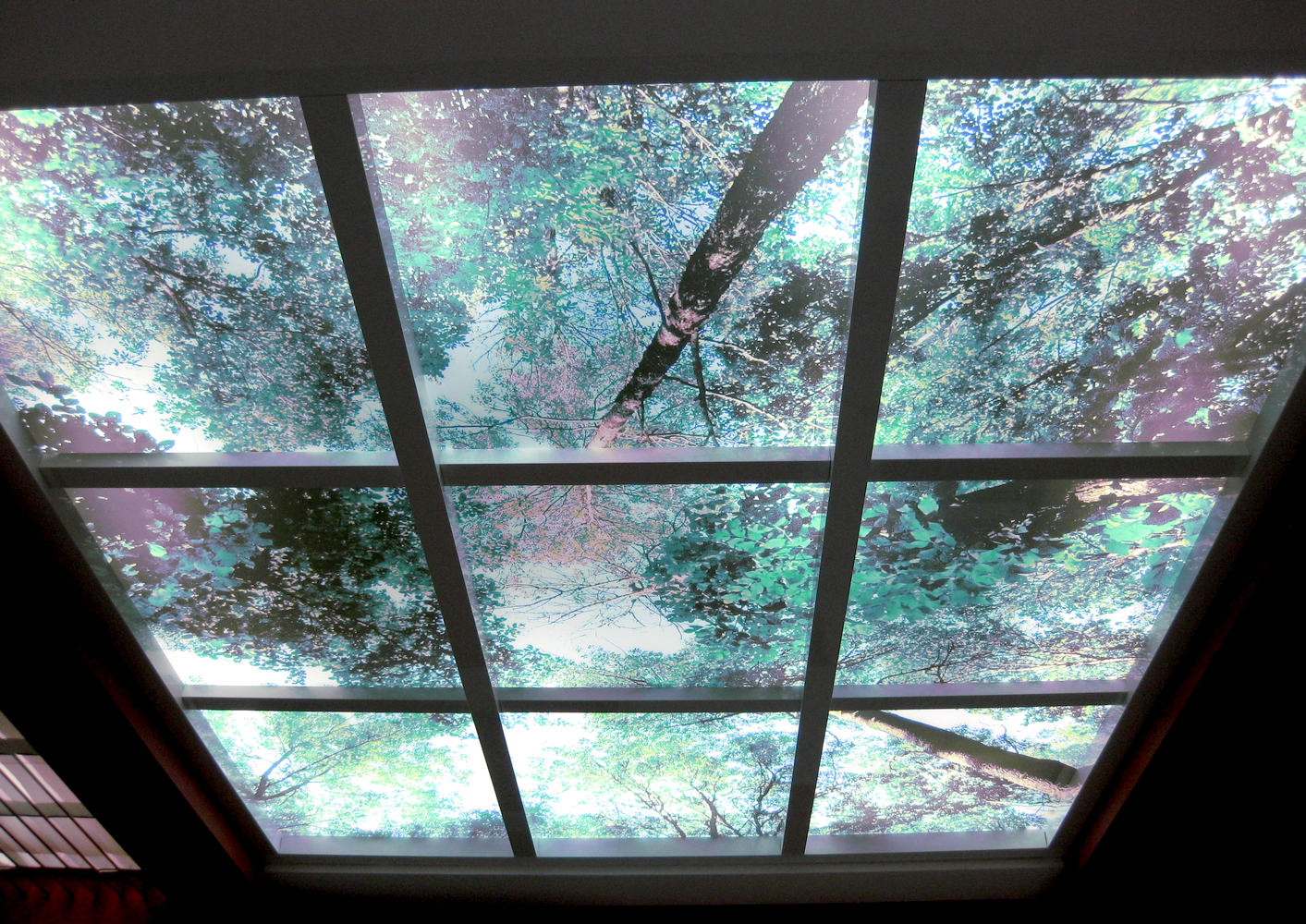 Light Windows Light Windows